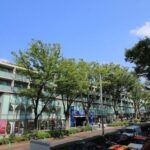 Discover your Tokyo -Private Tokyo Customized Walking Tour- - Why This Tour Is a Great Choice