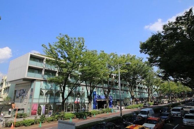 Discover your Tokyo -Private Tokyo Customized Walking Tour- - Why This Tour Is a Great Choice