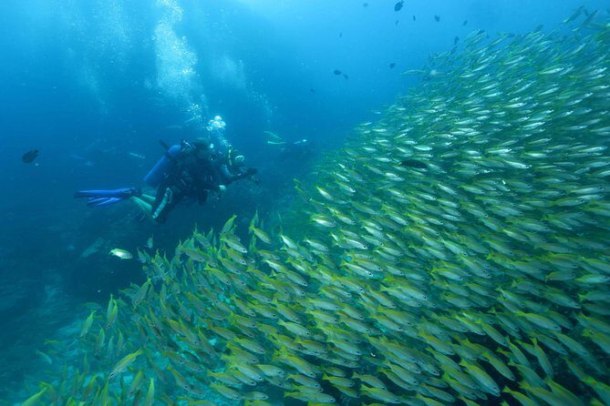 Dive Trip to Phi Phi from Phuket for certified divers - Final Thoughts