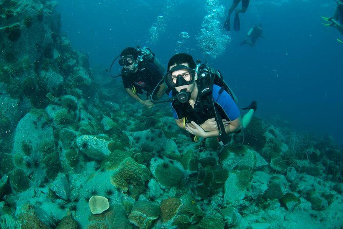 Diving at Koh Chang, daytrip with 2 dives - The Value of the Experience