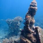 Diving in Tulamben - Detailed Breakdown of the Itinerary
