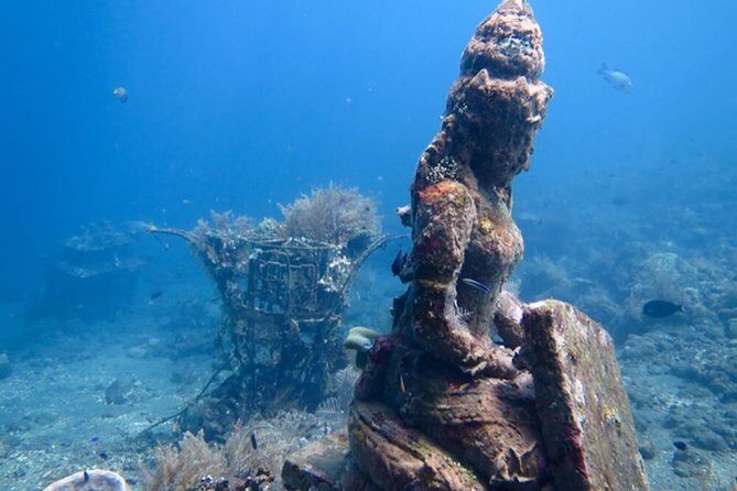 Diving in Tulamben - Detailed Breakdown of the Itinerary
