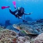 Diving with Manta Ray at Nusa Penida - Final Thoughts: Who Is This Tour For?