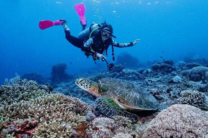 Diving with Manta Ray at Nusa Penida - Final Thoughts: Who Is This Tour For?