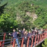 DMZ Tour from Seoul  Optional Suspension Bridge Experience - The Practicalities: What to Expect