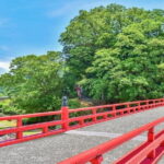Do You Want to Try Skywalk? A New Way of Enjoying Hakone! - Analyzing the Tour’s Value