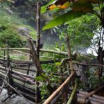 Doi Inthanon Day tour - The Value of This Tour