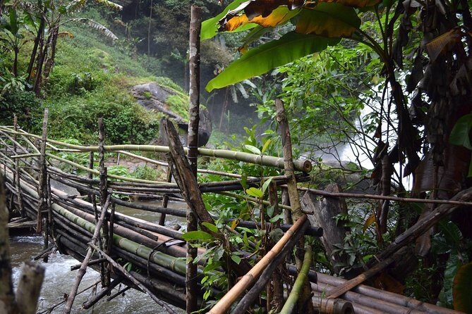 Doi Inthanon Day tour - The Value of This Tour