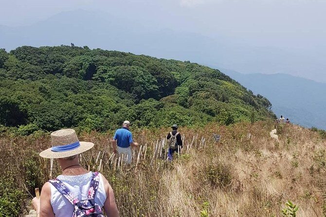 Doi Inthanon National Park Day Trip - Is This Tour Worth It?