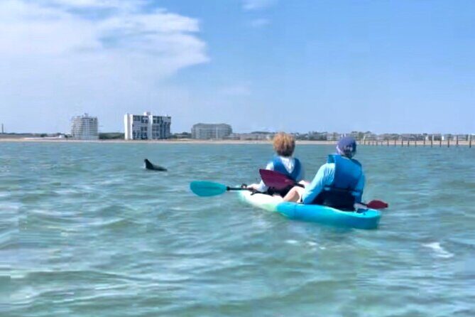 Dolphin Kayak Tour in Virginia Beach Must know how to swim - Frequently Asked Questions