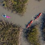 Dolphin Kayak Tour on Folly Beach - Detailed Breakdown of the Experience