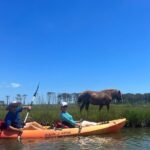 Double Sit on Top Kayak Rental at Assateague Island, MD - Who Should Consider This Experience?