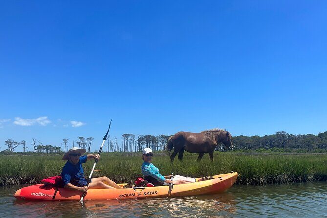 Double Sit on Top Kayak Rental at Assateague Island, MD - Who Should Consider This Experience?