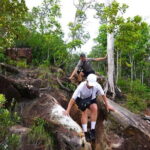 Dragon Crest Sunrise Hike and Klong Root Kayaking Private Tour - Who Should Consider This Tour?