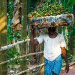 Dudhsagar waterfall wildlife & spice plantation Tour in Goa - Transport, Timing, and Practicalities
