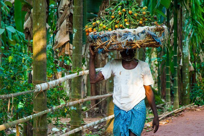 Dudhsagar waterfall wildlife & spice plantation Tour in Goa - Transport, Timing, and Practicalities