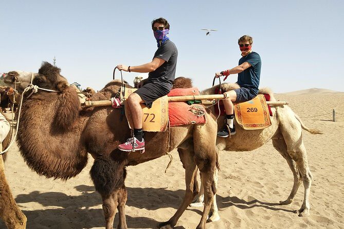 Dunhuang Private Camel Riding in the Gobi Desert - Pricing and Value