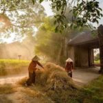 Duong Lam Ancient Village Private Tour: Ancient Vestage, Fortress - Who Will Love This Tour?