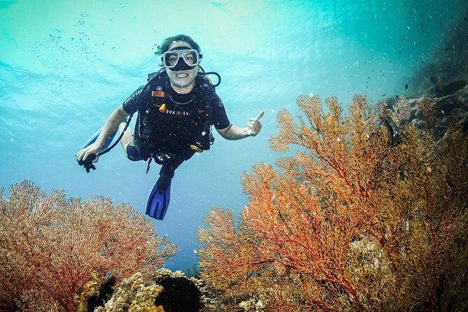 Easy Fun Scuba Dive in El Nido - Potential Considerations