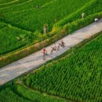 eBike Ubud Rice Terraces and Traditional Villages Cycling - Who Would Love This Tour?