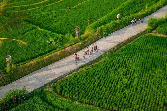 eBike Ubud Rice Terraces and Traditional Villages Cycling - Who Would Love This Tour?