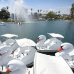 Echo Park Lake: Swan Pedal Boat Rental - Who Will Love This Experience?