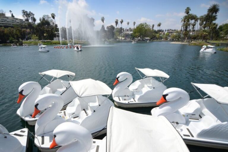 Echo Park Lake: Swan Pedal Boat Rental - Who Will Love This Experience?