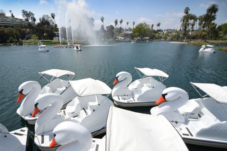 Echo Park Lake: Swan Pedal Boat Rental - Who Will Love This Experience?
