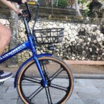 Electric bicycle tour in quaint South Ubud - The Practicalities: What to Expect