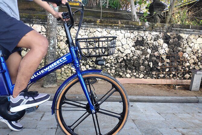 Electric bicycle tour in quaint South Ubud - The Practicalities: What to Expect