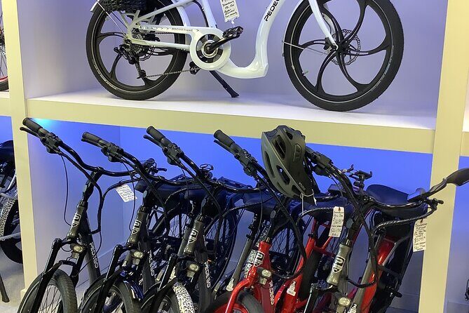 Electric Bikes Rental in Dunedin - What to Expect During Your Ride