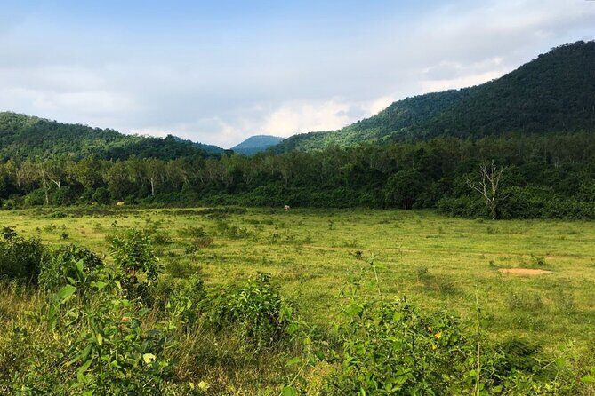 Elephant and Animal Watching in Kuiburi National Park - Join Afternoon Tour - Who Should Consider This Tour?