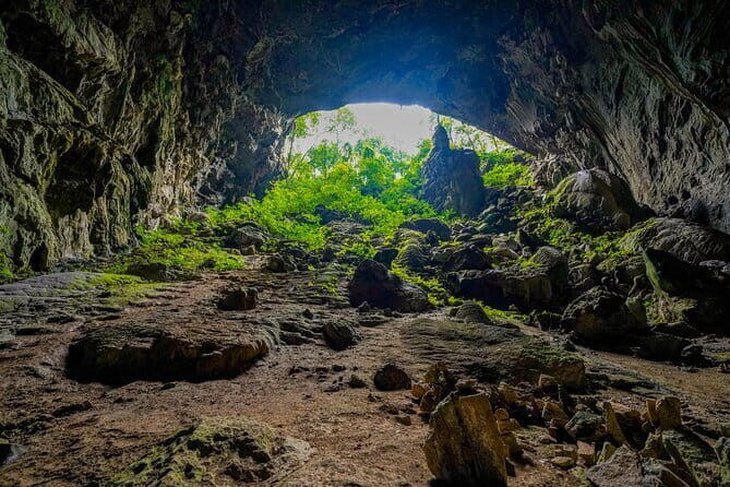 Elephant cave and Mada valley Jungle trek - 1Day - Practical Considerations