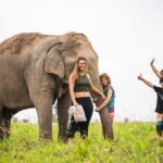 Elephant Jungle Sanctuary: Half Day Morning Program - The Sum Up