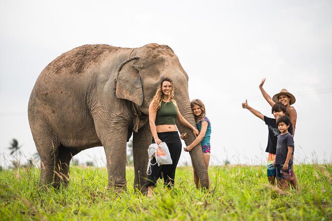Elephant Jungle Sanctuary: Half Day Morning Program - The Sum Up