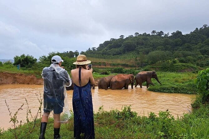Elephant Nature Experience with Lunch at Bukit Elephant Park - Who Will Love This Tour?