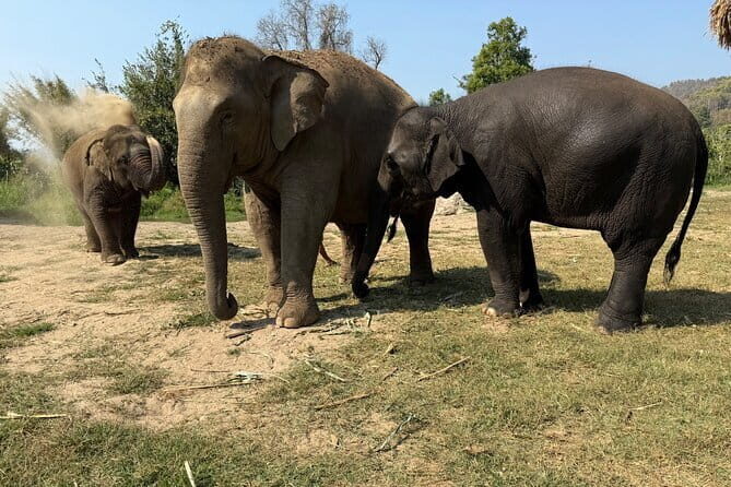 Elephant Sanctuary, Wat Ban Den & Sticky Waterfall - Transport, Duration, and Group Size