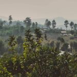 Elephant Sightings , Bamboo Rafting Through The Jungle, Swimming In a Waterfall - Why This Tour Might Be Perfect for You