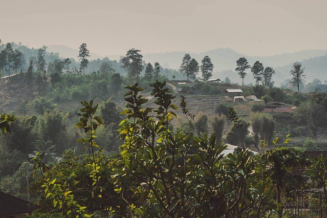 Elephant Sightings , Bamboo Rafting Through The Jungle, Swimming In a Waterfall - Why This Tour Might Be Perfect for You
