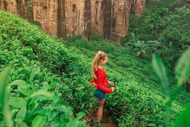 Ella Day Trip from Mirissa, Weligama, Galle, Hikkaduwa - Who Is This Tour Best For?