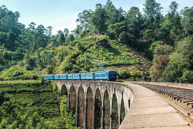 Ella to Colombo Train Tickets (Reserved Seats) - The Journey: What to Expect