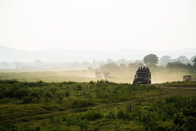 Ella: Transfer to Tangalle/Mirissa/Galle & Yala/Udawalawe Safari - Practical Tips for Your Safari Day