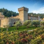 Enchanted Napa & Sonoma Wine Tour from Cupertino - Who is This Tour Best For?