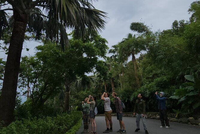 Endangered Monkeys Watching - Red Shanked Douc Langurs - Meeting and Starting Point