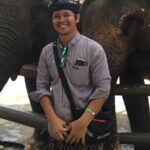 English and Japanese Speaking Local Bali Driver - What You Can Expect on the Tour