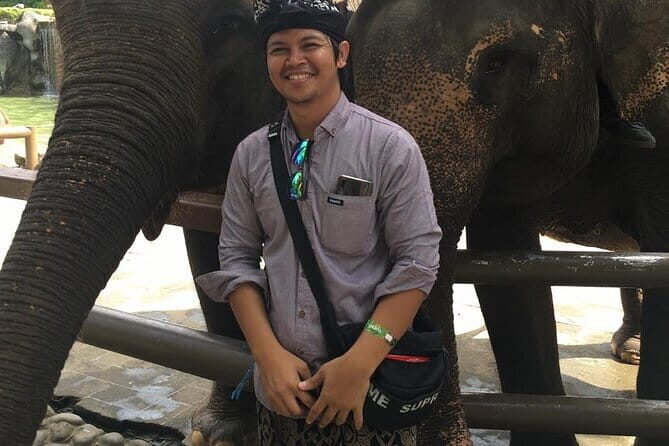 English and Japanese Speaking Local Bali Driver - What You Can Expect on the Tour