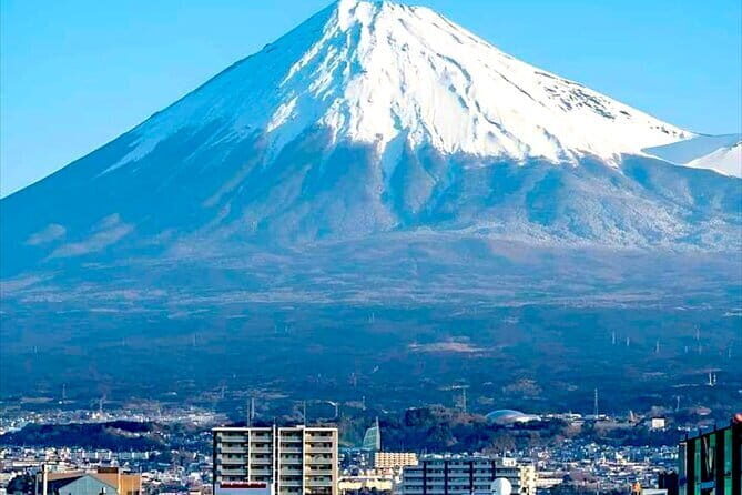 English Guided Mt. Fuji and Lake Kawaguchi Group Tour - Oishi Park
