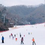 Eobi Ice Valley / Elysian Ski Resort / Nami Island - What Makes This Tour Stand Out