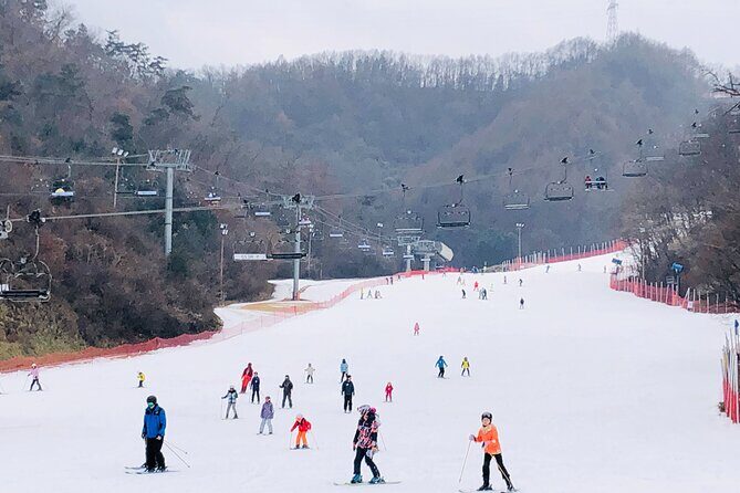 Eobi Ice Valley / Elysian Ski Resort / Nami Island - What Makes This Tour Stand Out