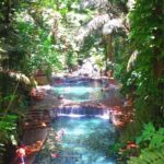 Escape to Enchanting Hidden Valley Springs! with Transfers*** - Real Traveler Insights